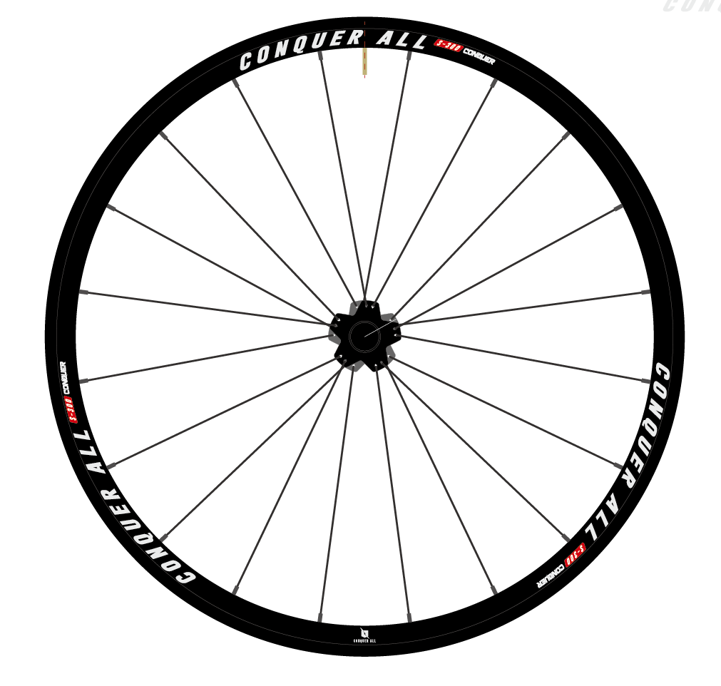 Bike wheels store for 300 lbs